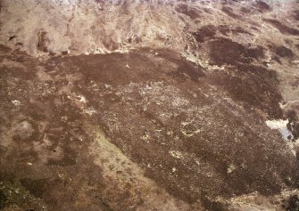 An oblique aerial view of Achnagarron, Rogart, Sutherland, looking S.