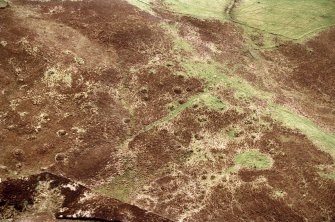 An oblique aerial view of Dola, Lairg, Sutherland, looking SSE.