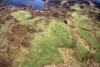 An oblique aerial view of Dola, Lairg, Sutherland, looking SE.