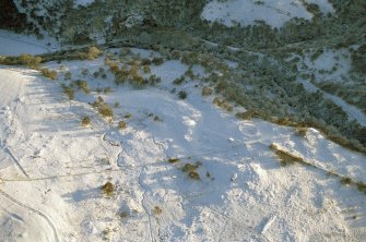 Oblique aerial view of enclosures at Torrboll Farm, Strath Fleet, East Sutherland, looking SE.