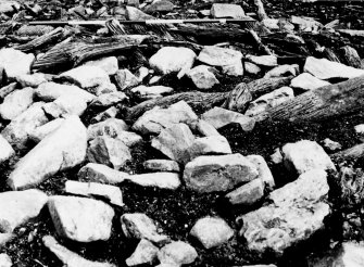 Excavation photograph.