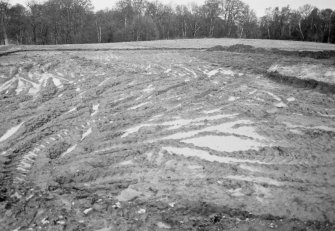 Excavation photograph - the site during excavation, from the W