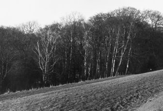 Excavation photograph : woods outside castle.
(B&W negatives colour printed)