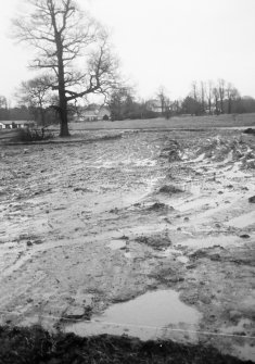 Watching brief photograph : area to E of castle stripped of topsoil.