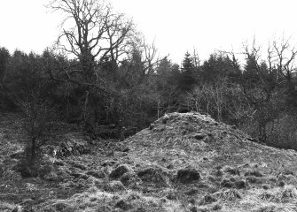 Blacklaw Tower. View of mound.