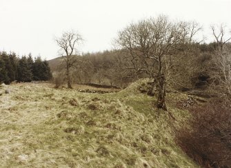 Blacklaw Tower. View of mound.