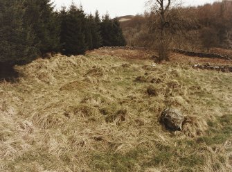 Blacklaw Tower. View of outline of building.