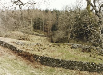 Blacklaw Tower. View of enclosure.