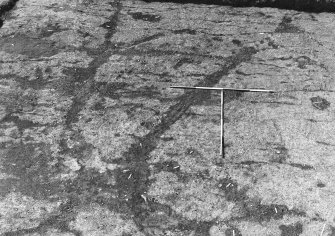 Excavation photograph : area 1 - round house slot beyond ditch 5, from E.