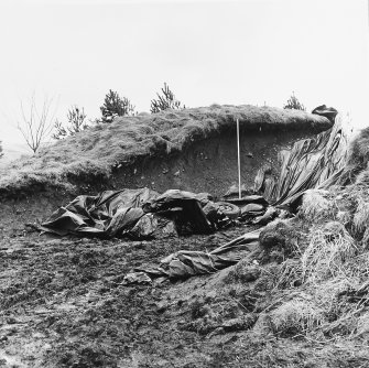 Roberton, motte: view of gravel quarry/silage pit in motte
C Tabraham, 1979