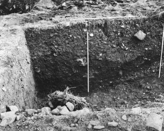 Excavation photograph.