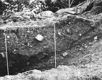 Excavation photograph.