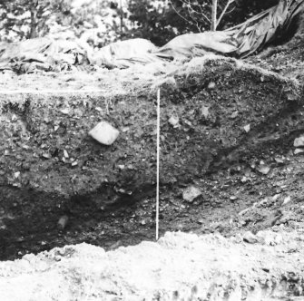 Excavation photograph.