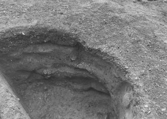 Excavation photograph : area 3 - f3017, half section, detail, from N.
