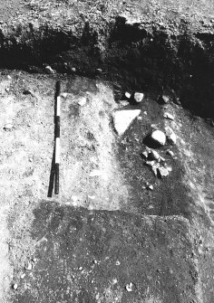 Excavation photograph : area 4D - f4012, poss. palisade, first spit removed, poss. packing in situ, from W.