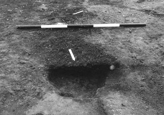 Excavation photograph : area 4D - f4018, half section, from W.