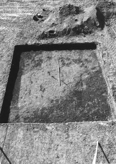 Excavation photograph : area 4 - sample square B, pre ex, from E.