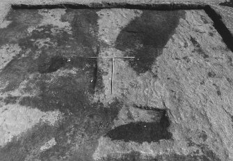 Excavation photograph : area 4 - sample square E, pre ex, from W.