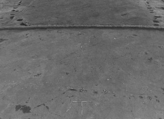 Excavation photograph : site from boom (site NS89SW 22 in background).