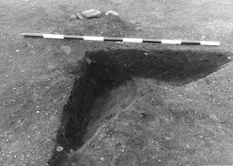 Excavation photograph : area 4A - f4100, 4011, section N-S, NE quad, from E.