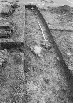 Excavation photograph