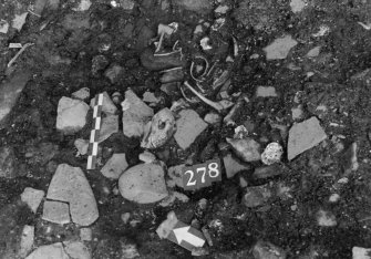 Excavation photograph : area N - f948/956 further excavated with another dog skeleton 278.