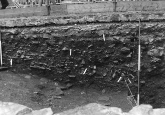 Excavation photograph : area N - south facing W-E section - W half.