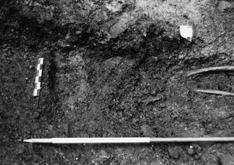 Excavation photograph : area M - detail of east end of coffin for skeleton 1103.