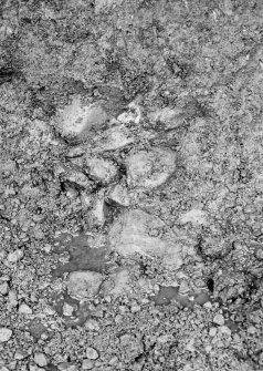 Dunfermline, Priory Lane, former Lauder Technical College, excavations.
Excavation photograph : boulders within cut below west end of wall F174.