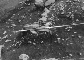 Area 1 F1063 & 1064   Pre-excavation of two possible post-holes, from NE