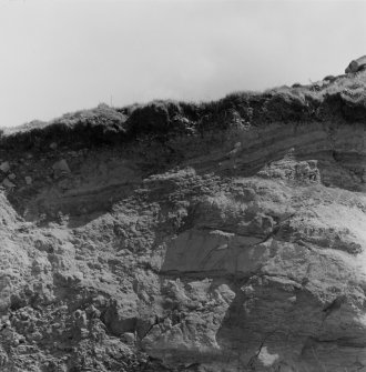 Dunion Hill excavation photograph.
View of excavated section.