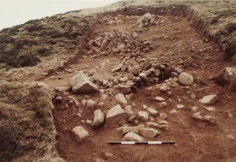 Area 2 F2005  Half-section of house pre-excavation, from N