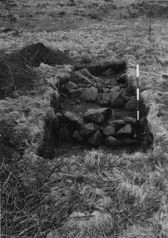 Dunion trial trench showing 'walls', from S.