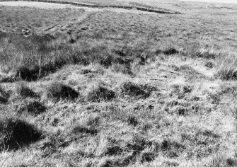 Excavation photograph from East Rhins Burnt Mounds project.