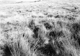 Excavation photograph from East Rhins Burnt Mounds project.