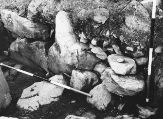 Excavation Corocoran 1963-5