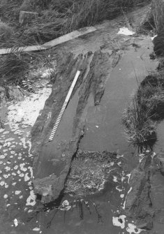 Excavation photograph.