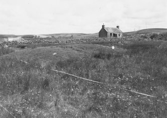 Excavation photograph.