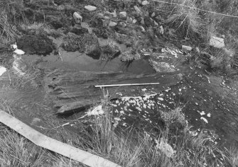 Excavation photograph.