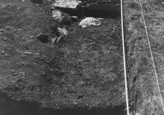 Excavation photograph.