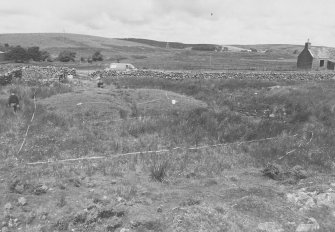 Excavation photograph.