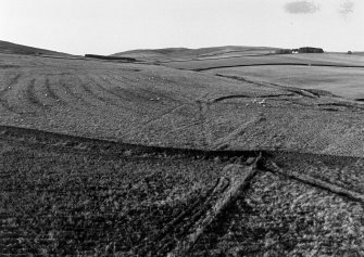 Excavation photograph : field system and earthworks to west of tower.