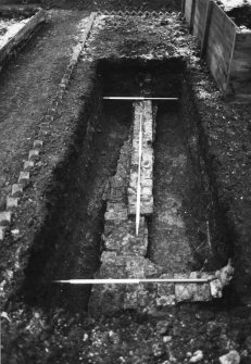 Trench 2, base of greenhouse - from W