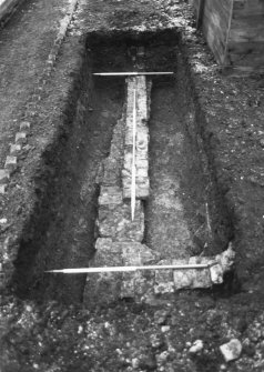 Trench 2, base of greenhouse - from W