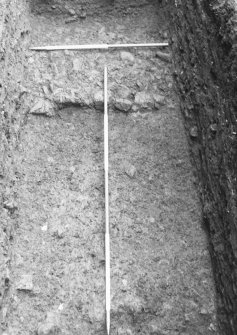 Close up of Trench 3, showing metalling F116 - from E