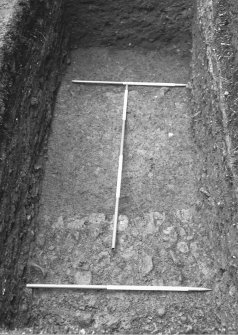 Close up of metalling F116 in trench 3 - from W