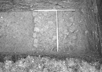 Trench 3 showing metalling F116 - from N
