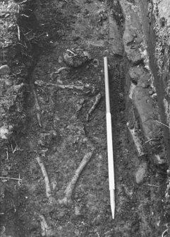 Yester, St Bathan's Chapel (Yester Chapel): Excavation photograph - Skeleton at the E end of Trench 1 - from E