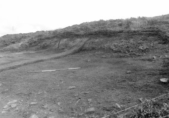Excavation photograph : area II - f207, looking north, north-east.