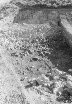 Excavation photograph : area II - rockwall and ledge, looking east (northern half).